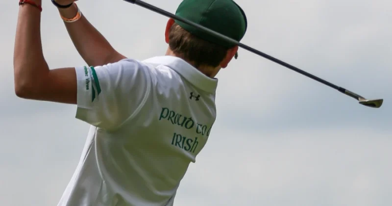 Golf swing trainer