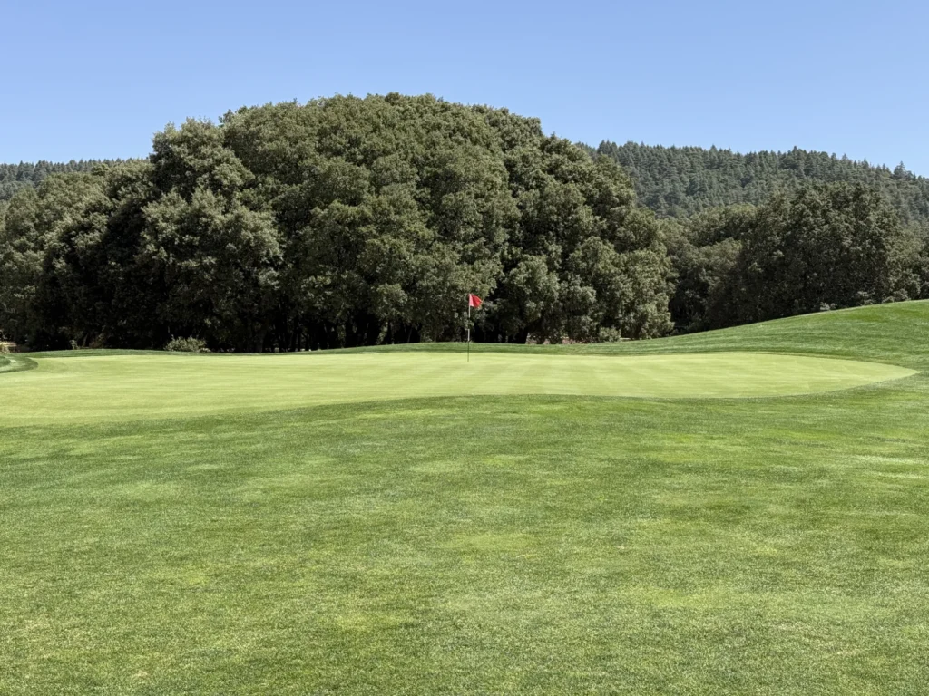 michlifen golfbaan green